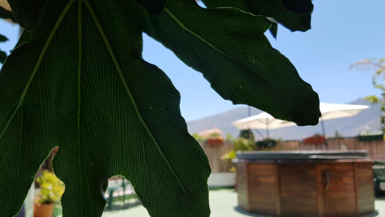 Posada Alpujarra Sol Орхива Экстерьер фото
